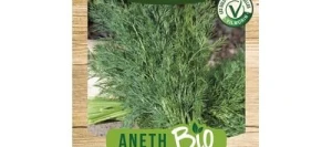 Aneth Officinal BIO - VILMORIN