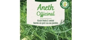 Aneth Officinal - VILMORIN