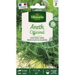Aneth Officinal - VILMORIN