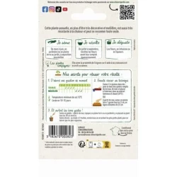 Camomille - VILMORIN