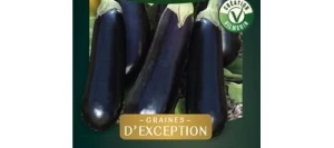 Aubergine AVAN HF1 - VILMORIN