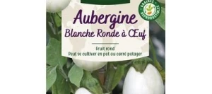 Aubergine BLANCHE RONDE À ŒUF - VILMORIN