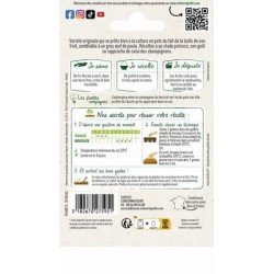Conditionnement Aubergine BLANCHE RONDE À ŒUF - VILMORIN