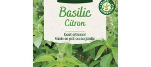 Basilic Citron - VILMORIN