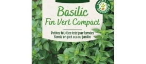 Basilic Fin Vert Nain Compact - VILMORIN