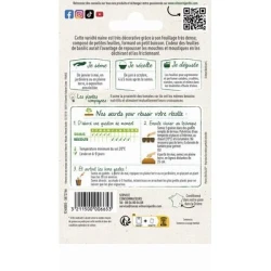 Basilic Fin Vert Nain Compact - VILMORIN