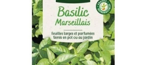 Basilic MARSEILLAIS - VILMORIN