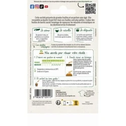 Basilic MARSEILLAIS - VILMORIN