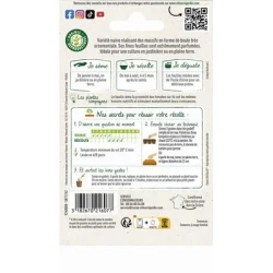 Basilic PISTOU - VILMORIN