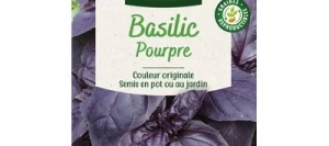 Basilic Pourpre - VILMORIN