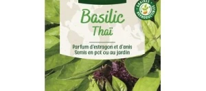Basilic THAÏ - VILMORIN