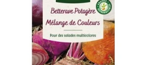 Betterave MÉLANGE ARC-EN-CIEL - VILMORIN