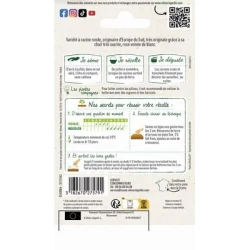 Betterave CHIOGGIA - VILMORIN