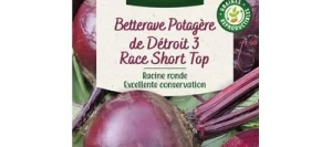 Betterave DE DETROIT 3 Race SHORP TOP - VILMORIN