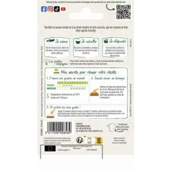 Betterave DE DETROIT 3 Race SHORP TOP - VILMORIN