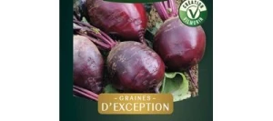 Betterave GRENADE HF1 - VILMORIN