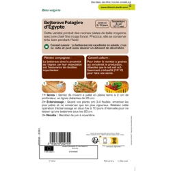 Betterave d'ÉGYPTE - VILMORIN