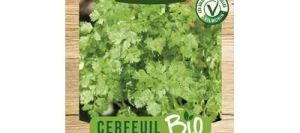 Cerfeuil Commun BIO - VILMORIN