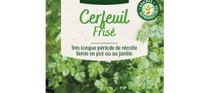 Cerfeuil Frisé - VILMORIN
