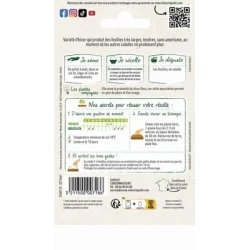 Chicorée à feuilles Améliorée BLONDE Sauvage - VILMORIN