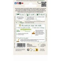 Conditionnement Chicorée à feuilles BARBE DE CAPUCIN Amère - VILMORIN