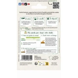 Chicorée Frisée DE RUFFEC - VILMORIN