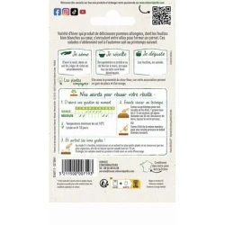 Chicorée à feuilles Améliorée PAIN DE SUCRE - VILMORIN