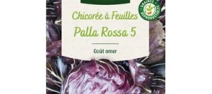 Chicorée à feuilles PALLA ROSSA 5 - VILMORIN