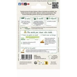 Chicorée à feuilles PALLA ROSSA 5 - VILMORIN