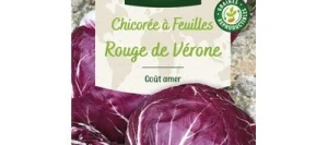 Chicorée à feuilles ROUGE DE VÉRONE - VILMORIN