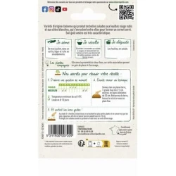 Chicorée à feuilles ROUGE DE VÉRONE - VILMORIN