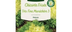Chicorée Frisée Très Fine MARAÎCHÈRE 3 - VILMORIN