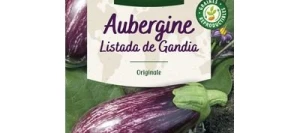 Aubergine LISTADA DE GANDIA - VILMORIN