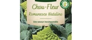 Chou-fleur ROMANESCO Précoce - VILMORIN