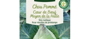 Chou Cabus CŒUR DE BOEUF Moyen de la Halle - VILMORIN