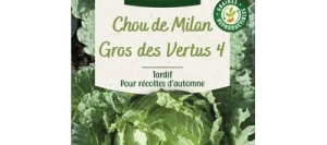 Chou de Milan Gros des VERTUS 4 - VILMORIN