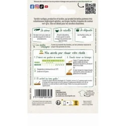 Chou de Milan Gros des VERTUS 4 - VILMORIN