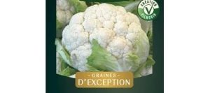 Chou-fleur LOCRIS HF1 - VILMORIN