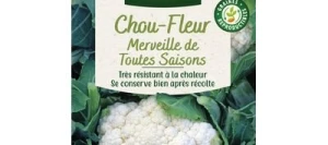 Chou-fleur MERVEILLE DE TOUTES SAISONS - VILMORIN