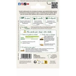 Chou-fleur MERVEILLE DE TOUTES SAISONS - VILMORIN