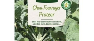 Chou Fourrager PROTEOR - VILMORIN