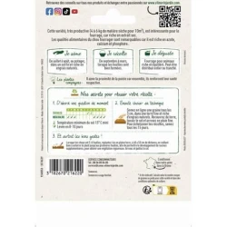 Chou Fourrager PROTEOR - VILMORIN