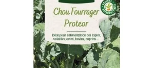 Chou Fourrager PROTEOR - VILMORIN