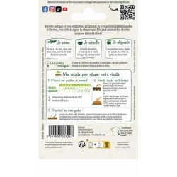 Chou Cabus QUINTAL D'ALSACE - VILMORIN