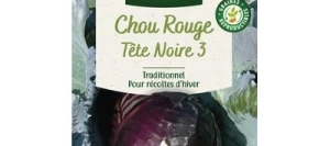 Chou Rouge TÊTE NOIRE 3 - VILMORIN