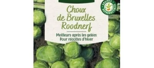 Chou de Bruxelles SANDA - VILMORIN