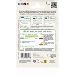 Chou de Bruxelles SANDA - VILMORIN