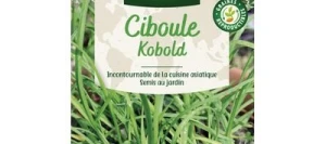Ciboule de Chine (Ail à couper) KOBOLD - VILMORIN