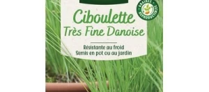 Ciboulette Très Fine Danoise - VILMORIN