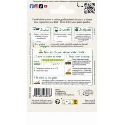 Concombre BRESO HF1 - VILMORIN